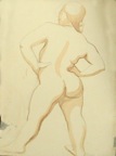 015.JPG